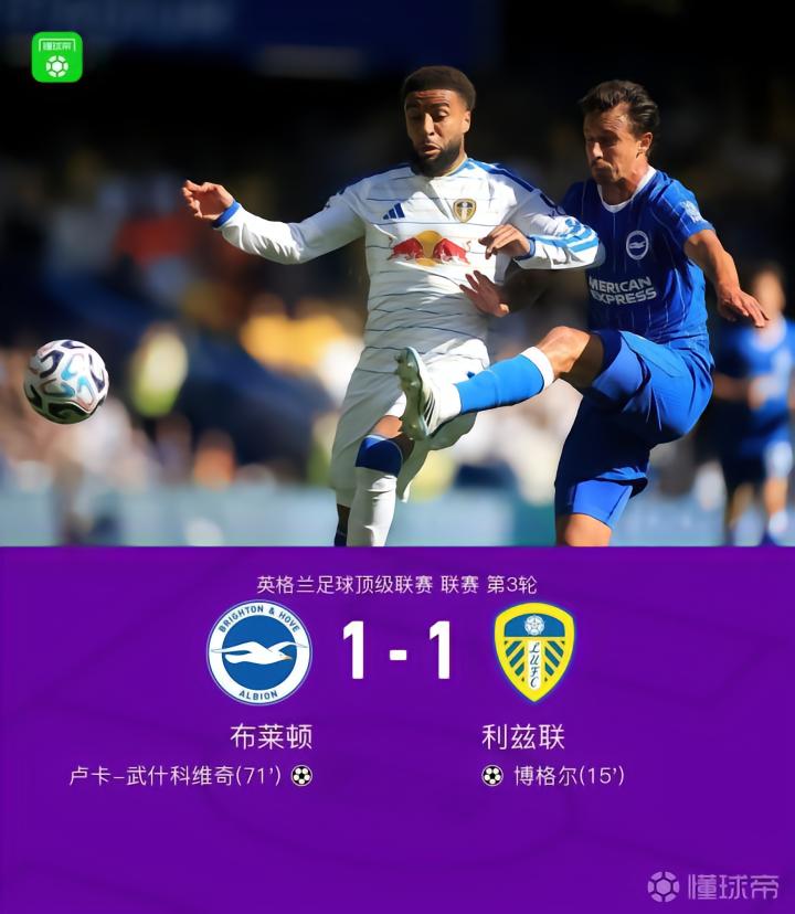 布莱顿1-1利兹联：博格尔首开纪录，武什科维奇扳平